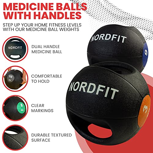 PALIRMO Medicine Balls with Handles – Fitness and Home Gym Equipment
